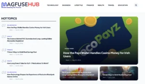 Magfusehub Com Review: Website Features, Content Categories, and Login Guide